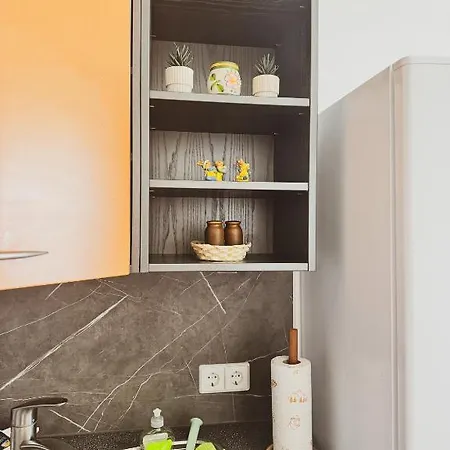 Apartament Schlafen An Der Donau Cozy,zentral 5min Legoland & Stadtmitte, Flussblick , Familyfriendly *